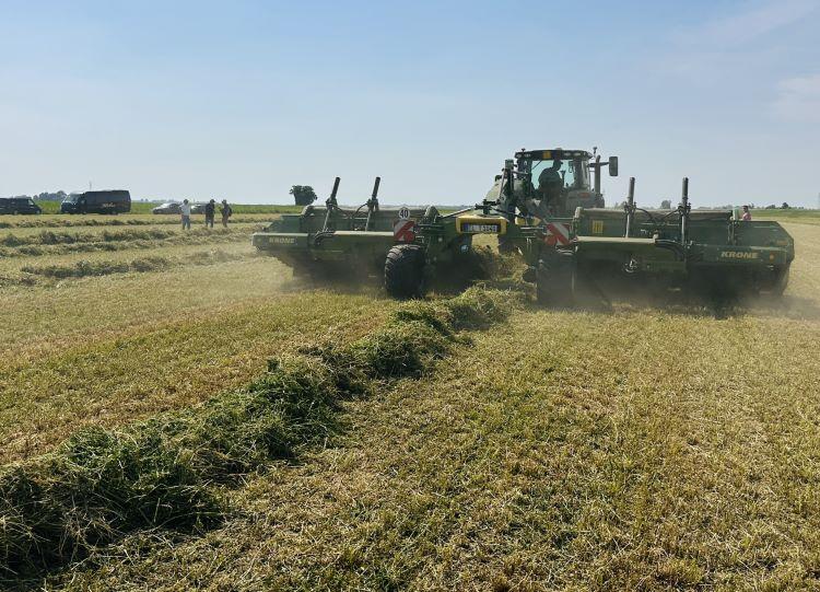 Krone