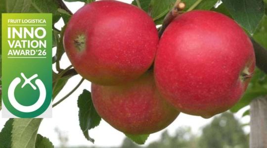 Díjnyertes áttörés: hipoallergén alma hódította meg a Fruit Logisticát