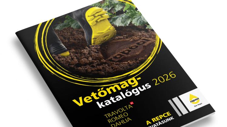 A RAPOOL új RUNNER hibridjei, mint a SCHUMACHER, széles vetésidő-intervallumot kínálnak a gazdálkodóknak. (Forrás: Rapool) A RAPOOL új RUNNER hibridjei, mint a SCHUMACHER, széles vetésidő-intervallumot kínálnak a gazdálkodóknak. (Forrás: Rapool)