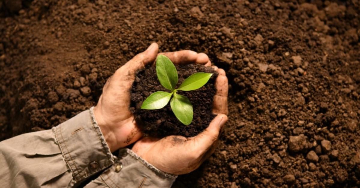 SOILATHON innovációs verseny: megoldások a talaj szénvesztésére