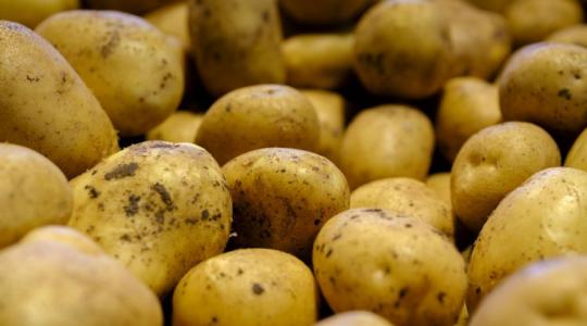 Lapcsánka, tócsni, cicege vagy görhöny? Így hódította meg a magyar konyhákat az Andok kincse