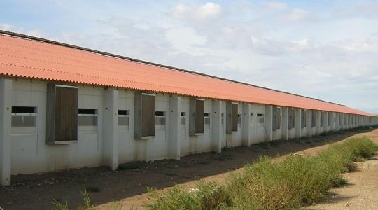 Hatékony hűtőpanel tisztítás és fertőtlenítés baromfi- és sertéstelepeken Hatékony hűtőpanel tisztítás és fertőtlenítés baromfi- és sertéstelepeken