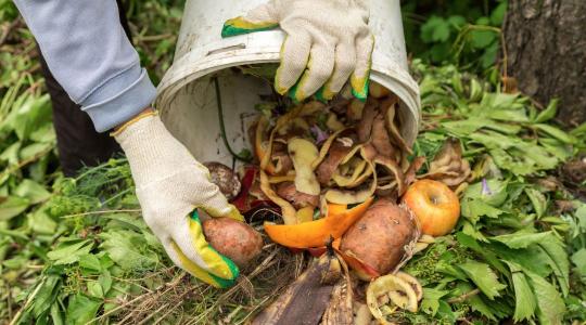A nyári komposzt emiatt nem indul be rendesen - ezen múlik a gyors lebomlás A nyári komposzt emiatt nem indul be rendesen - ezen múlik a gyors lebomlás