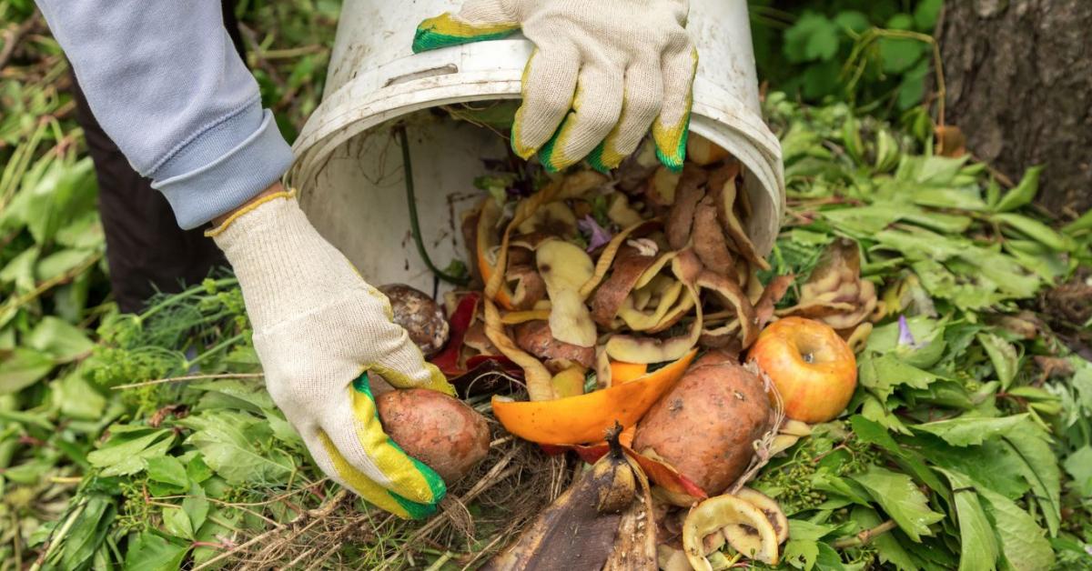 A nyári komposzt emiatt nem indul be rendesen - ezen múlik a gyors lebomlás A nyári komposzt emiatt nem indul be rendesen - ezen múlik a gyors lebomlás
