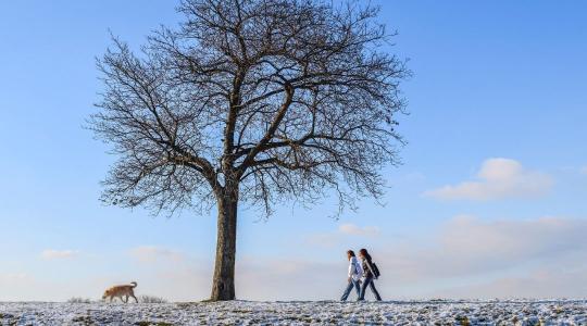 Veszélyesebb a tél, mint a nyár – sokkoló eredmény magyar kutatóktól