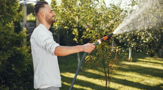 Ezért locsolnak hajnalban a rutinos kertészek a nyári hőségben Ezért locsolnak hajnalban a rutinos kertészek a nyári hőségben