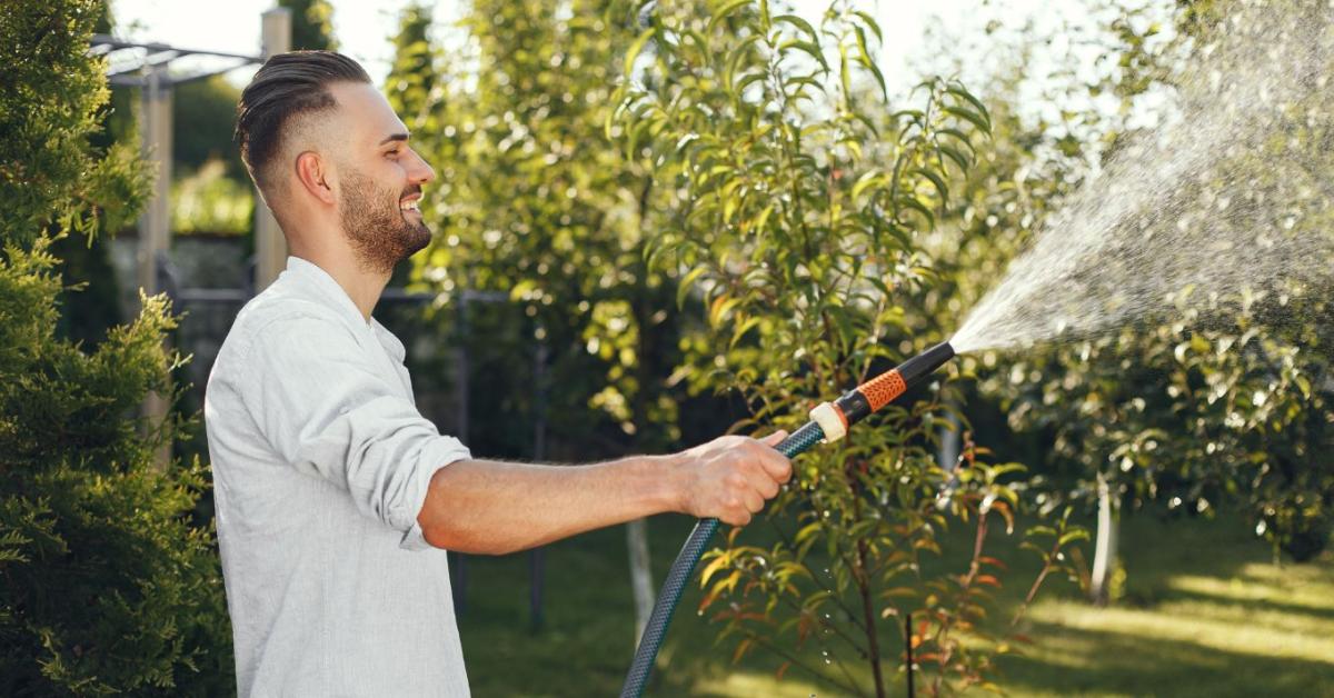 Ezért locsolnak hajnalban a rutinos kertészek a nyári hőségben