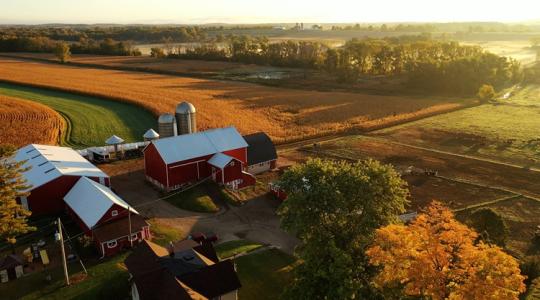Első kézből a PREGA-n: így csinálják az amerikai gazdák