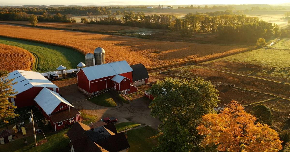 Első kézből a PREGA-n: így csinálják az amerikai gazdák +VIDEÓ Első kézből a PREGA-n: így csinálják az amerikai gazdák +VIDEÓ