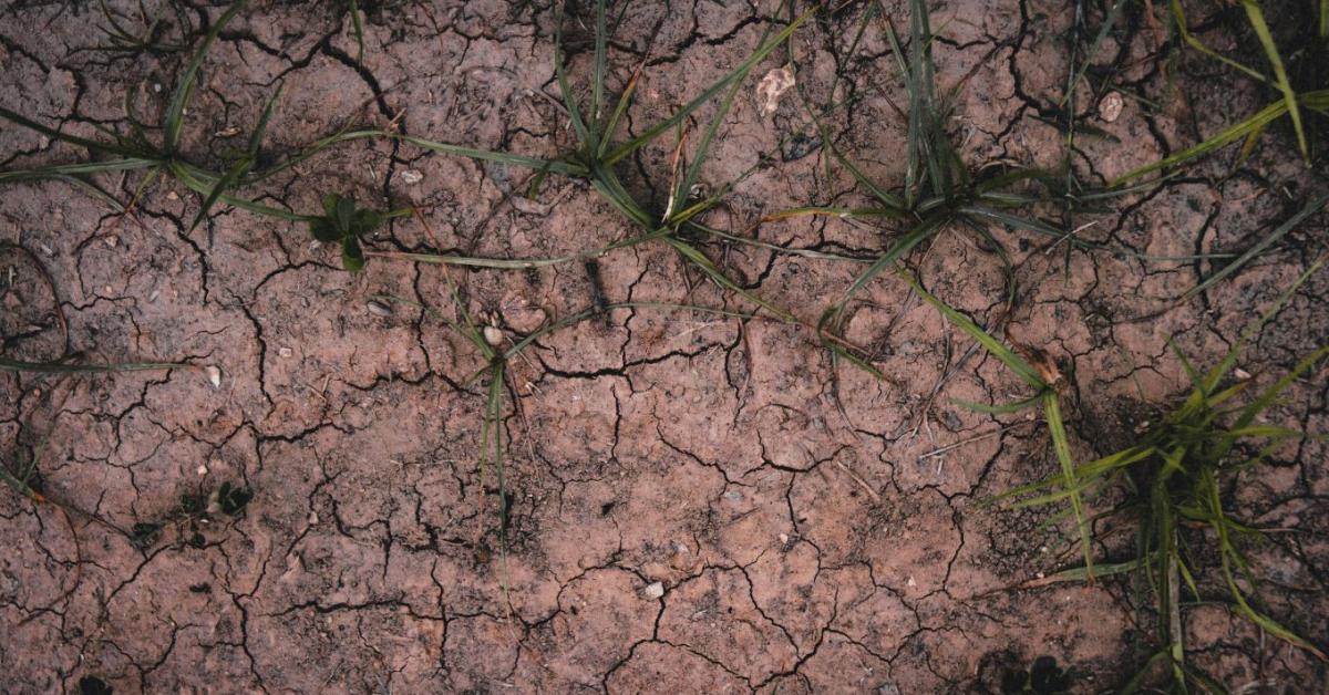 257 milliárd forint érkezik az Alföld megmentésére, de a szakértők szerint a betoncsatornák már nem segítenek