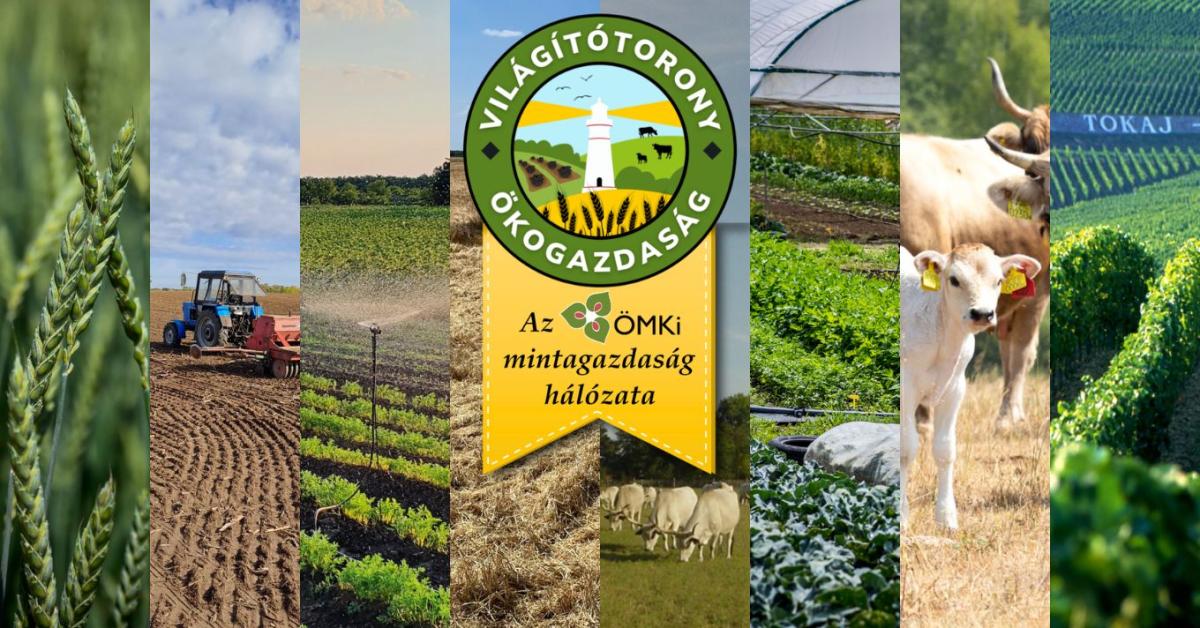 Elindítja a Világítótorony Ökogazdaságok Hálózatát az Ökológiai Mezőgazdasági Kutatóintézet
