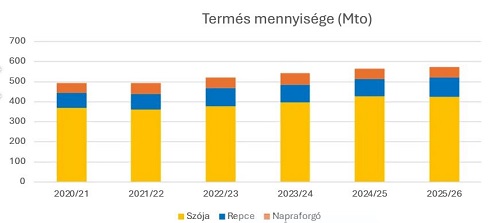 napraforgó napraforgó