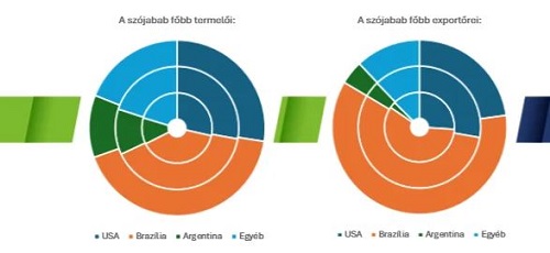 napraforgó napraforgó
