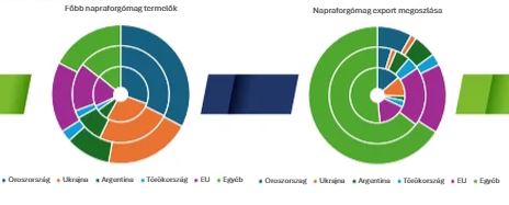 napraforgó napraforgó