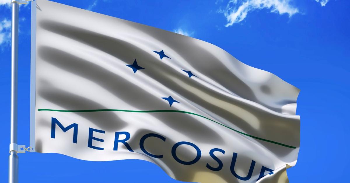 Zöld utat kaptak a Mercosur-védzáradékok az EP-ben