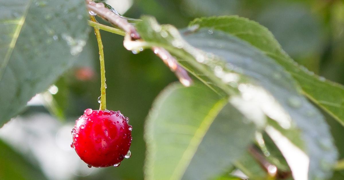 3 napos előrejelzés: Csinos kis esőfelhőket kapunk a fejünk fölé