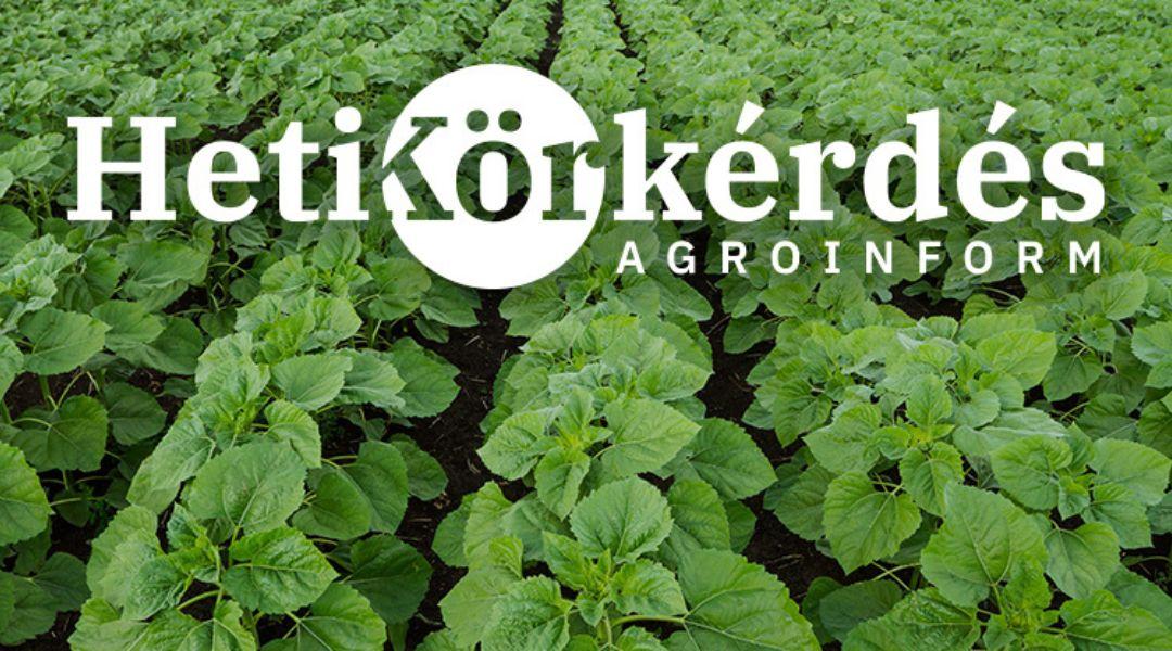 Sürgős beavatkozások a szántóföldeken – mit tehetünk évjárati stresszhelyzetben? – Heti Körkérdés