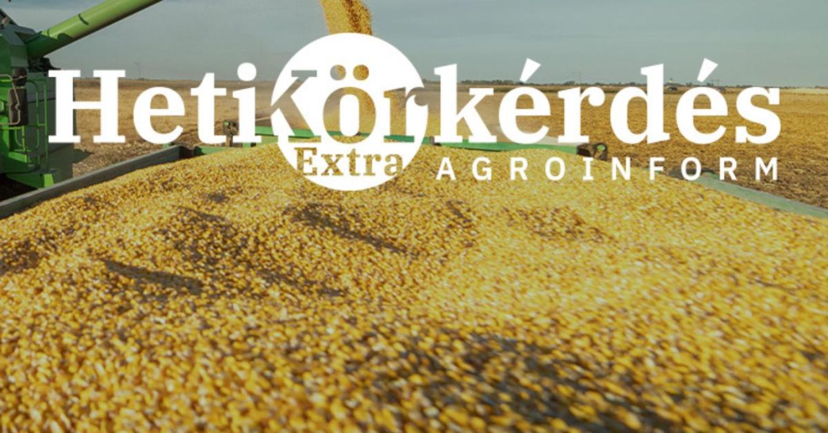 Pótkocsik: a logisztika hősei – Heti Körkérdés Extra