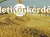 Pótkocsik: a logisztika hősei – Heti Körkérdés Extra