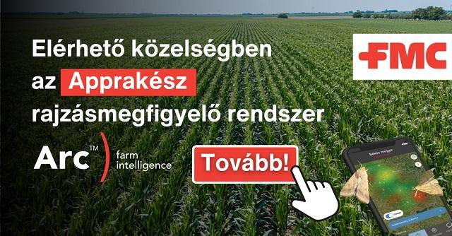 A Coragen® 20 SC rovarölő szer hatékony védelmet nyújt a főbb rágókártevők ellen, hozzájárulva az egészséges állomány és a termésbiztonság megőrzéséhez. (Forrás: FMC)