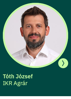 körkérdés körkérdés