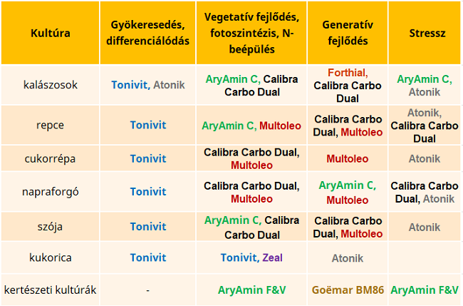 körkérdés körkérdés