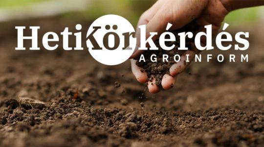 Melyek a talaj- és növénykondicionálók kiválasztásának szakmai szempontjai? – Heti Körkérdés