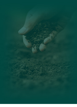 körkérdés körkérdés