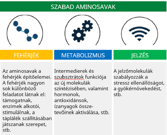 körkérdés körkérdés