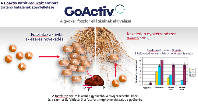 körkérdés körkérdés