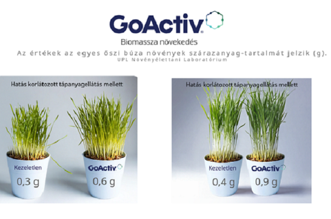 körkérdés körkérdés