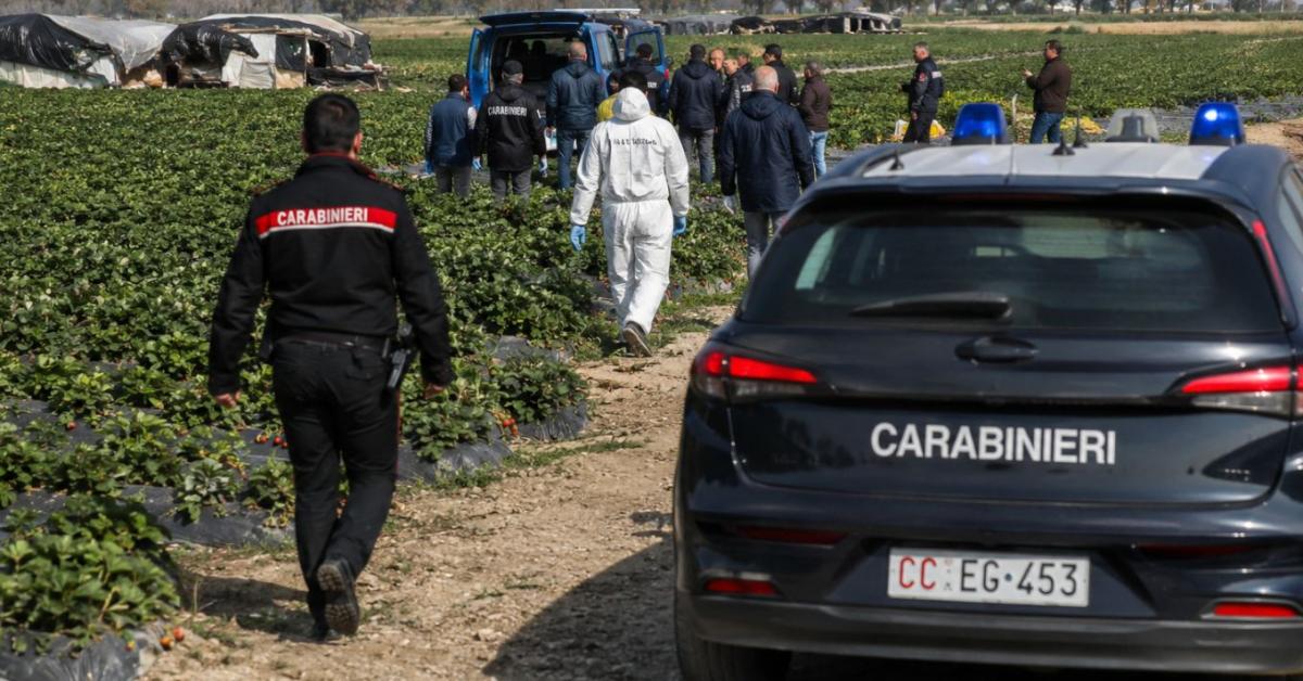 Caporalato – a modernkori rabszolgaság hálózata: Kik mozgatják a szálakat a dél-olasz szántókon? Caporalato – a modernkori rabszolgaság hálózata: Kik mozgatják a szálakat a dél-olasz szántókon?