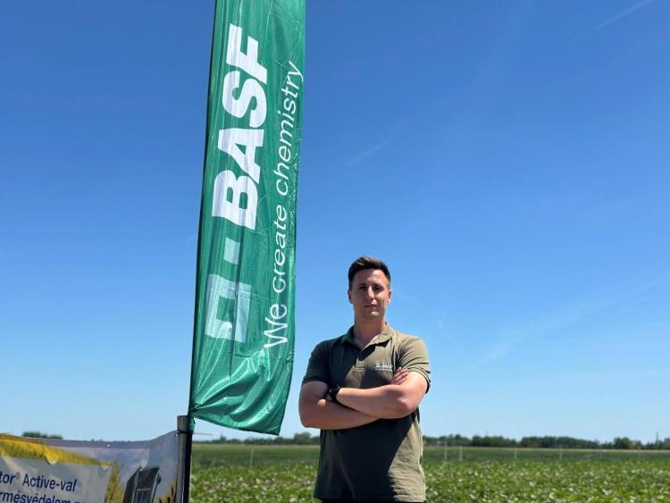 BASF