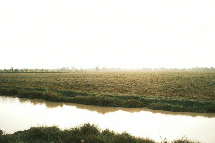 vizes terület