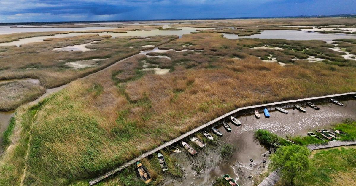 Radikális vízpótlás és szigor: megmenekül a Velencei-tó?
