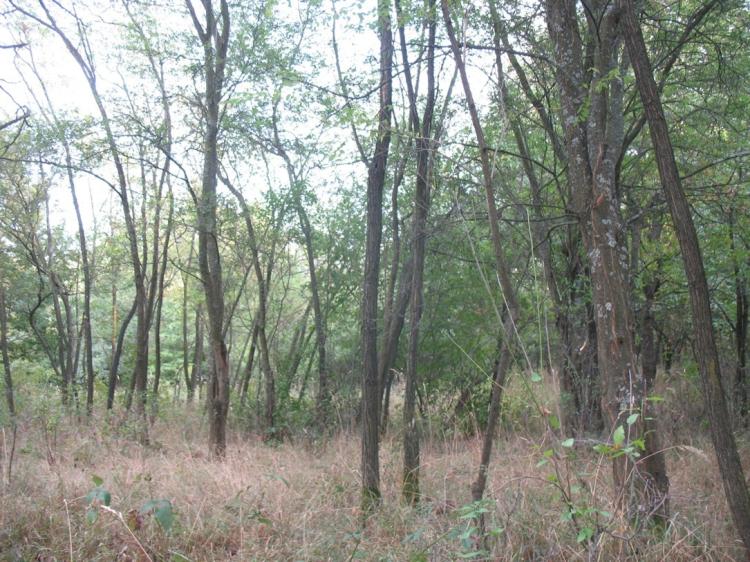környezetvédelem