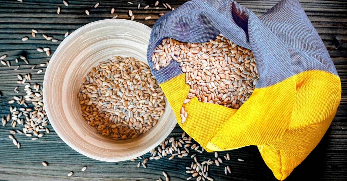 Válaszolt a kormányszóvivő, fenntartja-e Magyarország az ukrán gabonaimport korlátozását