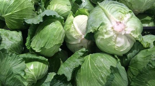 Negatív rekord fenyegeti a lengyel káposztapiacot