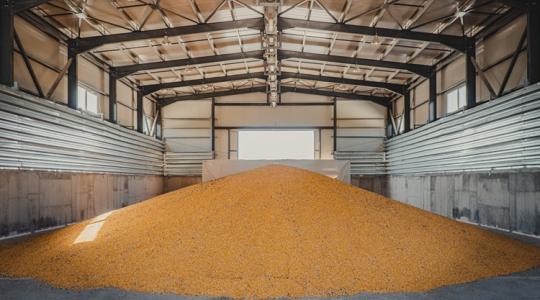 A kukoricaárak dilemmája: eladjuk, vagy beragad a készlet?