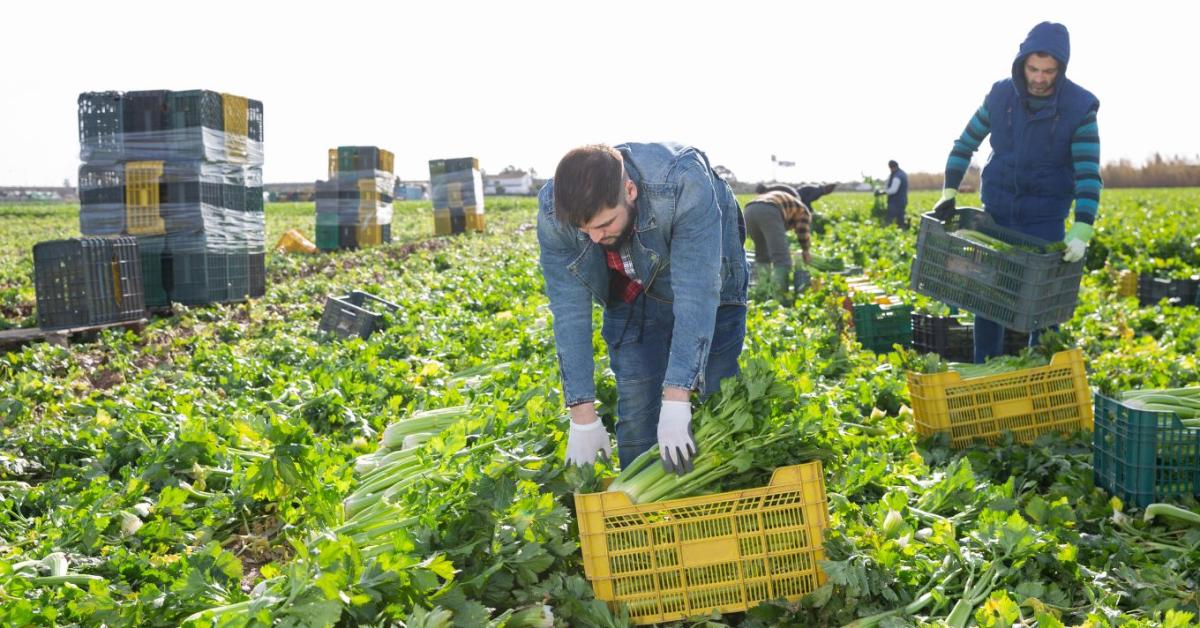 Péntektől lépett életbe a tiltás, ami teljesen átírhatja a nyári mezőgazdasági szezont