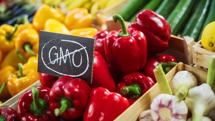GMO GMO