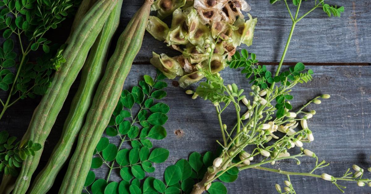 Csodafa a mikroműanyagok ellen: egy filléres módszer, ami megmentheti az egészségünket