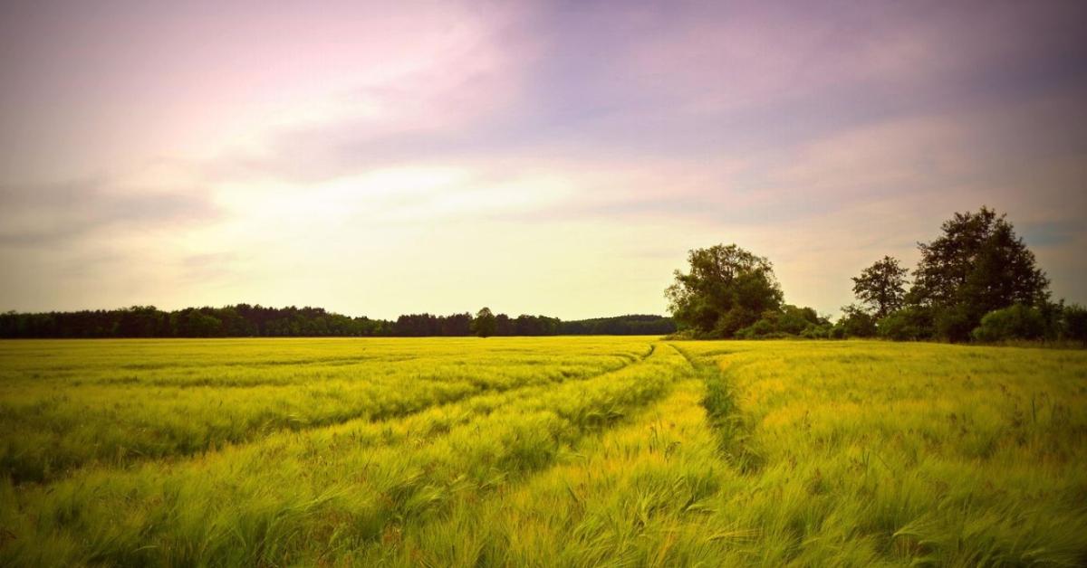 Időjárás: Visszatér a nyárias meleg + VIDEÓ