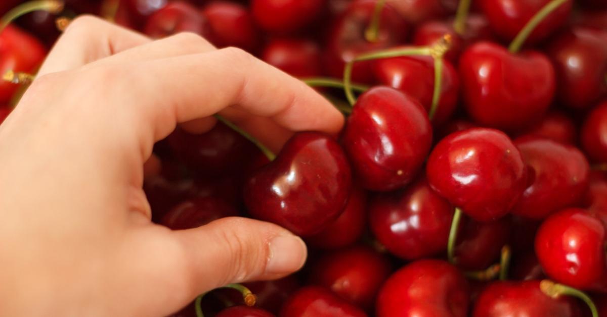Az öregek tudták: kukacos a cseresznye, mi legyen vele?