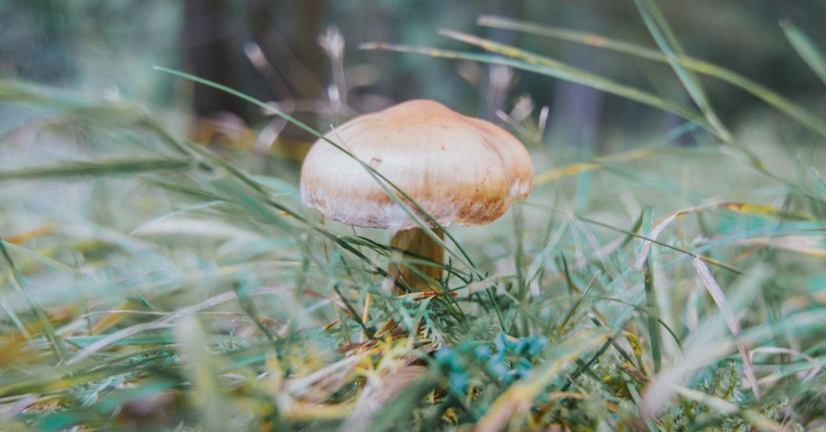 Melegedéssel indul a hét, de aztán 180 fokos fordulatot vesz az időjárás
