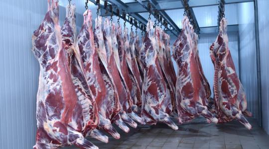 Kifogyóban a marhahús a világpiacról? Döbbenetes drágulás csapta meg a vágóhidakat Kifogyóban a marhahús a világpiacról? Döbbenetes drágulás csapta meg a vágóhidakat