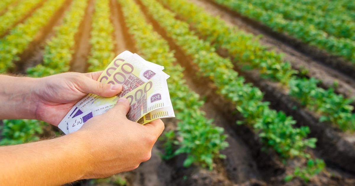Már eurómilliárdokat buktunk, de még menthető a helyzet Már eurómilliárdokat buktunk, de még menthető a helyzet