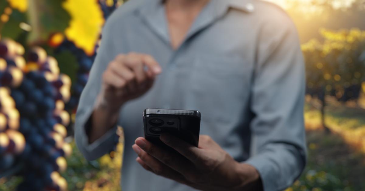 Mobilappon is jelenthető az amerikai szőlőkabóca