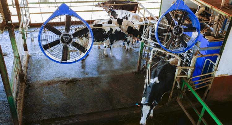Forrás: DeLaval Forrás: DeLaval
