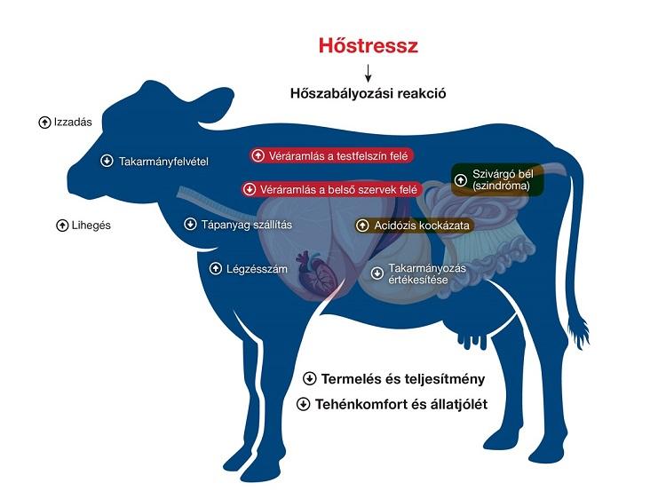 DeLaval